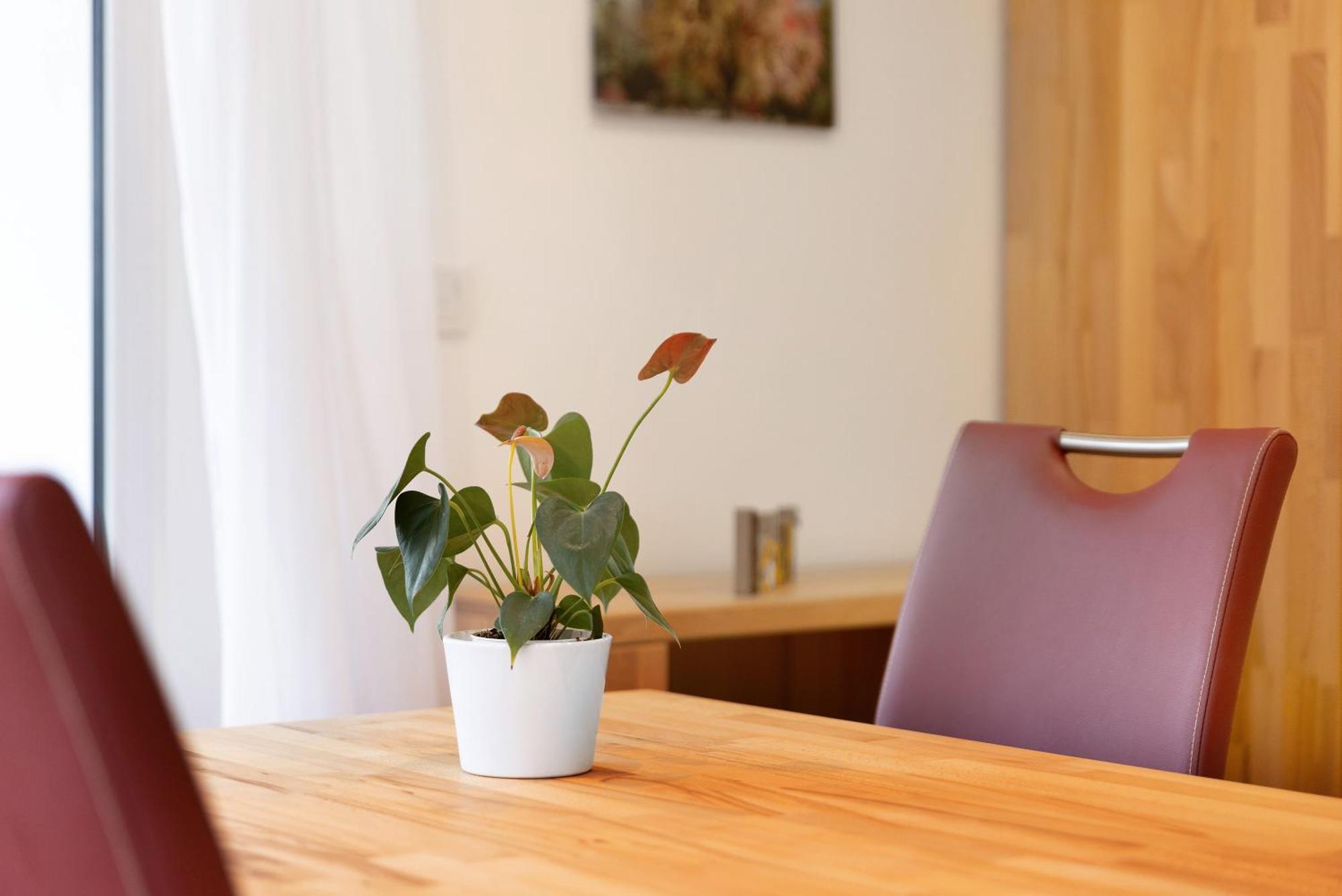 Apartment Beim Imker Mössingen